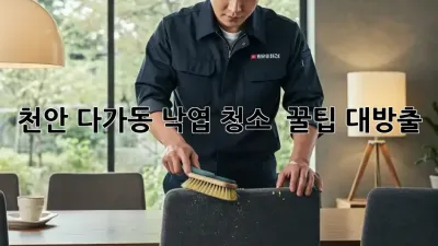 천안 다가동 낙엽 청소 🍂🧹 꿀팁 대방출!